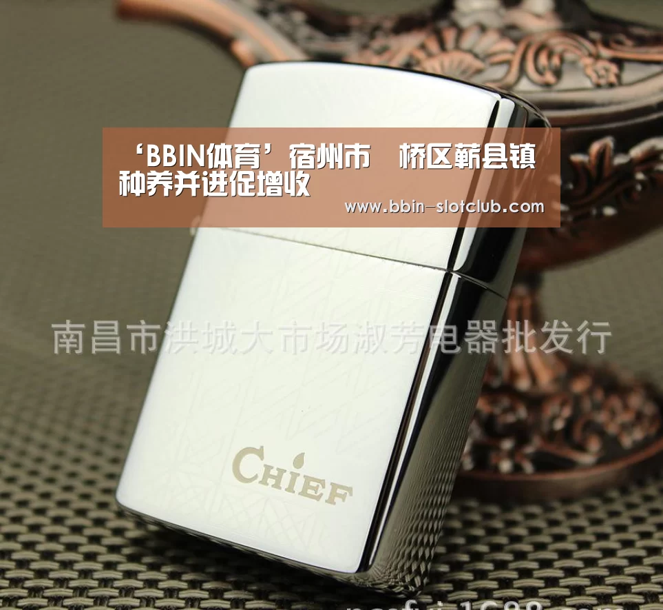 BBIN篮球