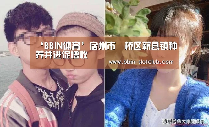 BBIN体育