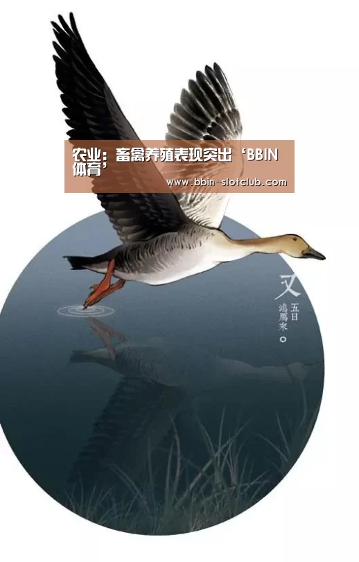 农业:畜禽养殖表现突出‘BBIN体育’(图1) BBIN电竞