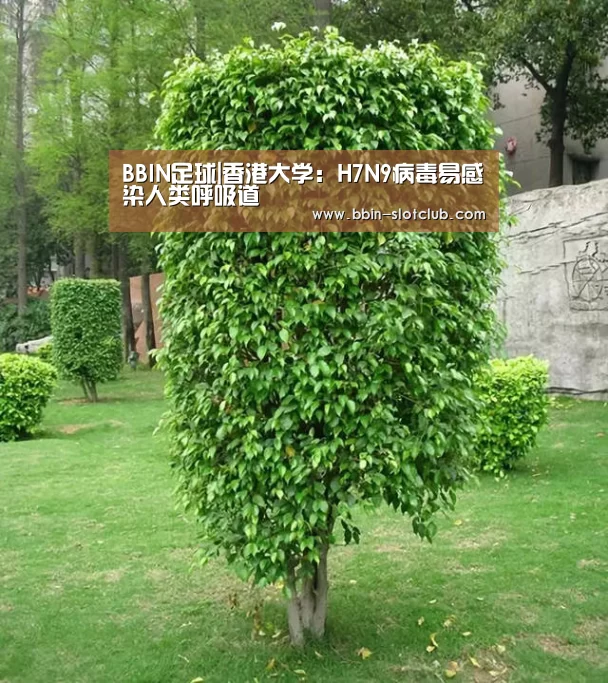 BBIN足球|香港大学:H7N9病毒易感染人类呼吸道(图1) BBIN体育