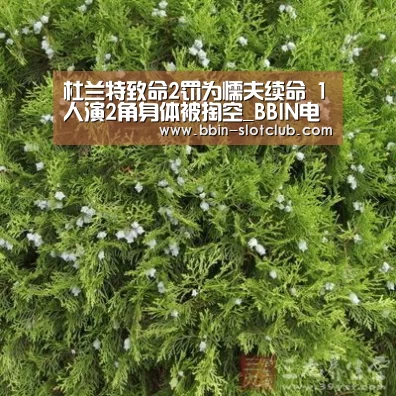 BBIN篮球