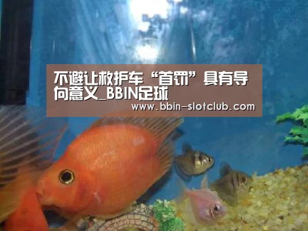 BBIN篮球