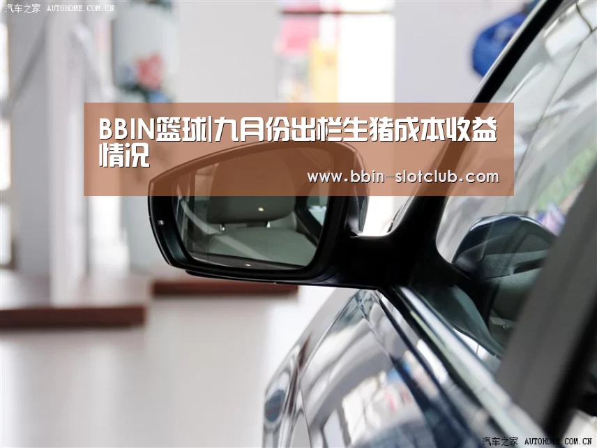 BBIN篮球